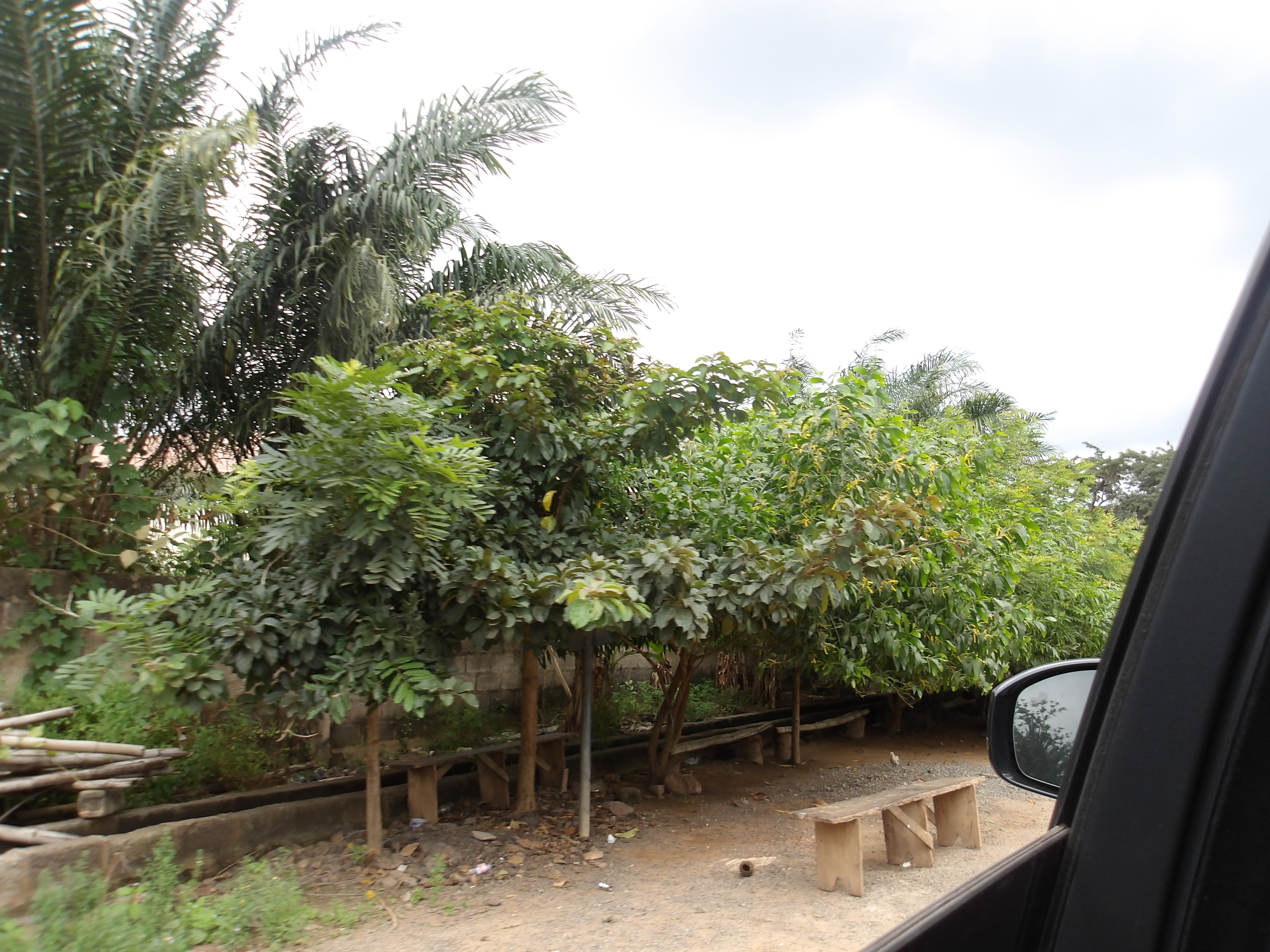 GHANA FALL 25 photo